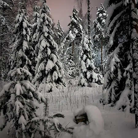 Mesikaepa Kuelalistemaja Lodge *